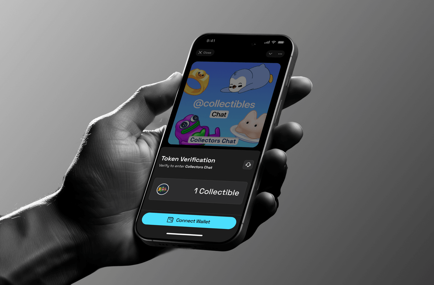 Verify token to join — member wallet connection flow